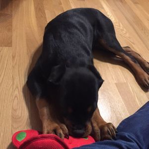 Meet your Posher, Dianna